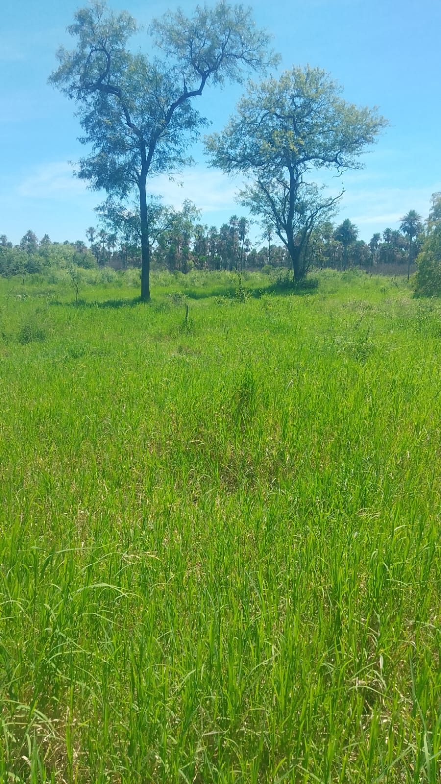 Fortín Yunká - Imagen 2026